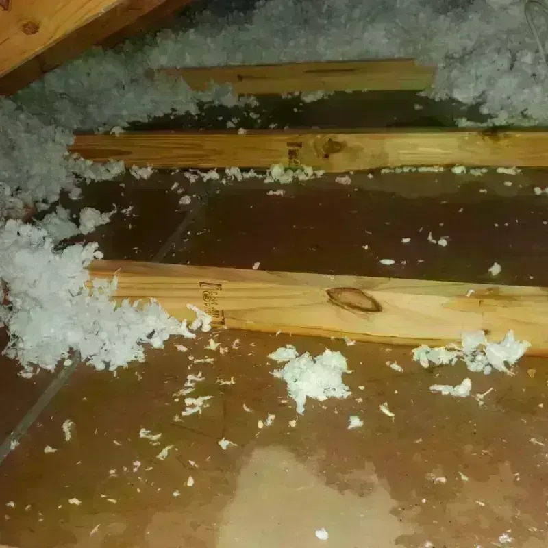 Attic Water Damage in Keith County, NE