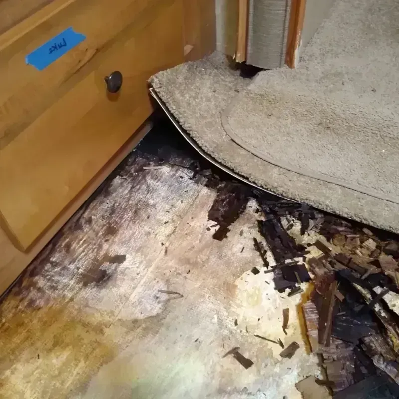 Wood Floor Water Damage in Keith County, NE